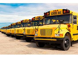 School buses 